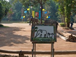 Thailand2009-Elephant_School-009